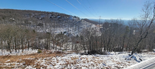 mountain view featuring a wooded view