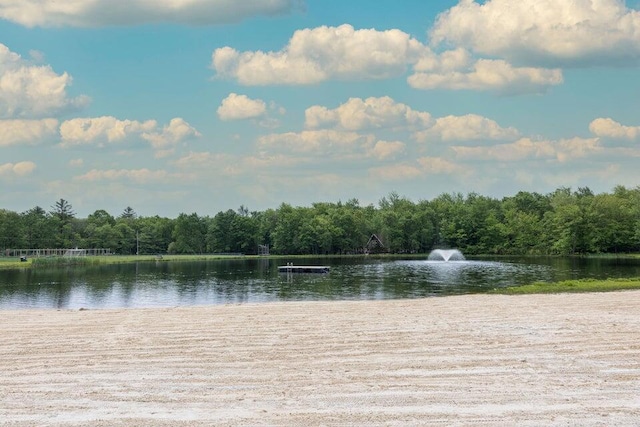 354 Fawn Rd, Pocono Lake, PA 18347 - water view featuring a heavily wooded area