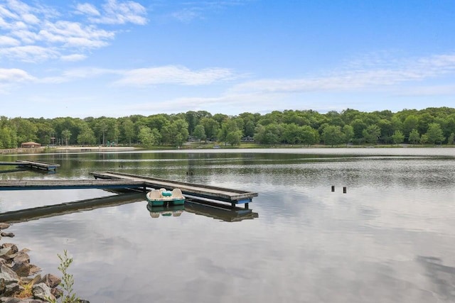 354 Fawn Rd, Pocono Lake, PA 18347 - dock area featuring a view of trees and a water view