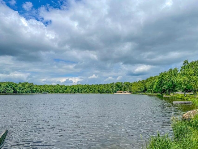 354 Fawn Rd, Pocono Lake, PA 18347 - water view featuring a heavily wooded area