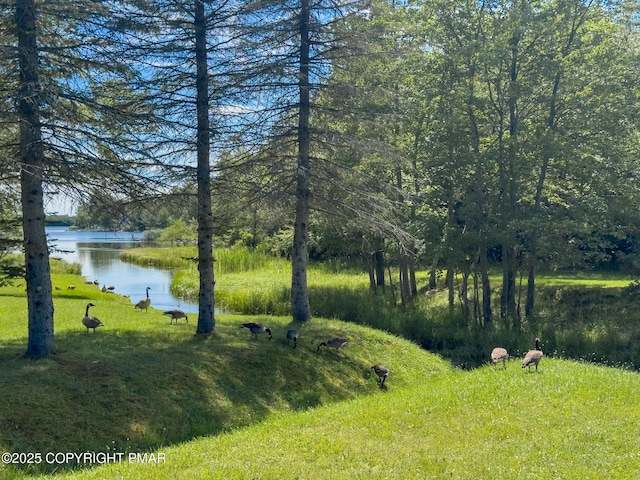 6224 Park Pl, Tobyhanna, PA 18466 - photo 53