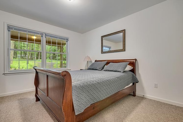 141 Beech Ln, Pocono Lake, PA 18347 - carpeted bedroom with baseboards