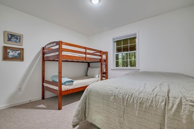 141 Beech Ln, Pocono Lake, PA 18347 - bedroom featuring carpet flooring and baseboards