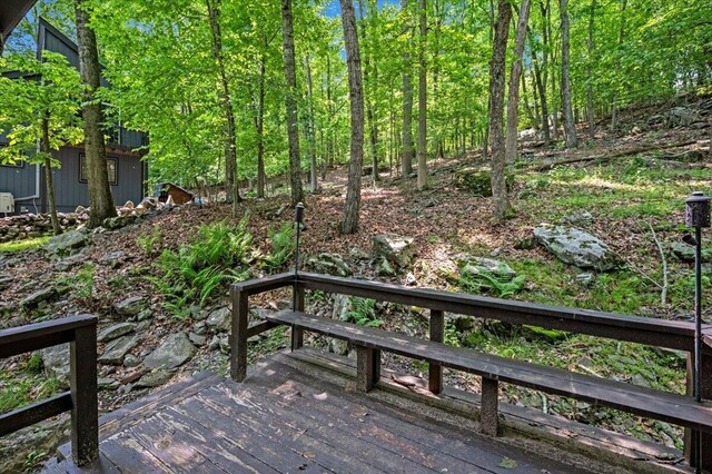 6061 Decker Rd, Bushkill, PA 18324 - photo 25