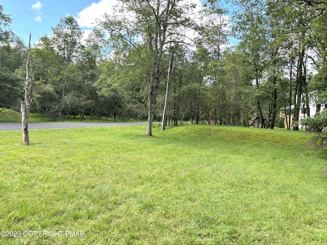388 Towamensing Trl, Albrightsville, PA 18210 - photo 31