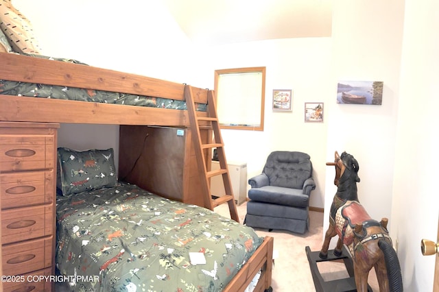 388 Towamensing Trl, Albrightsville, PA 18210 - photo 23