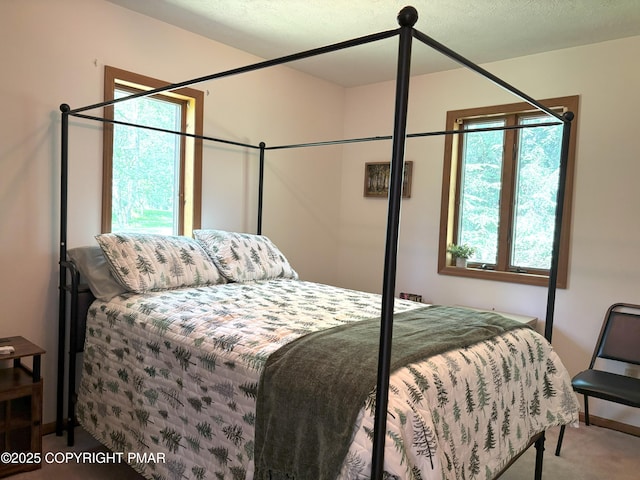 388 Towamensing Trl, Albrightsville, PA 18210 - photo 16