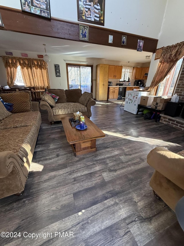 living area with a high ceiling and wood finished floors