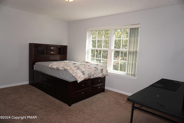 bedroom featuring carpet floors