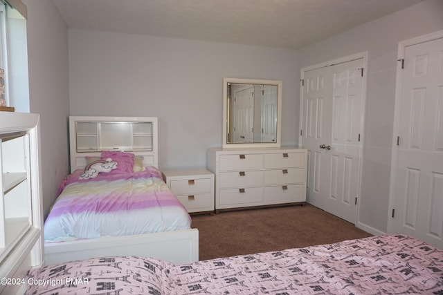 carpeted bedroom with multiple closets