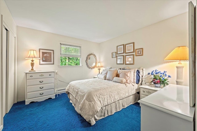 1125 Rhododendron Ln, Pocono Summit, PA 18346 - carpeted bedroom with a baseboard heating unit and a closet