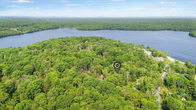 1125 Rhododendron Ln, Pocono Summit, PA 18346 - bird's eye view of a forest and a large body of water