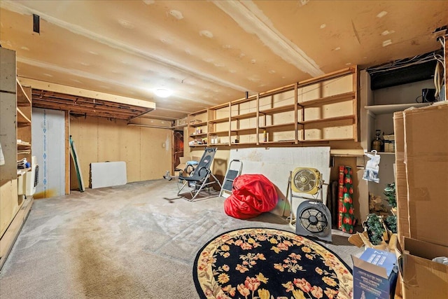 1125 Rhododendron Ln, Pocono Summit, PA 18346 - unfinished below grade area featuring carpet flooring