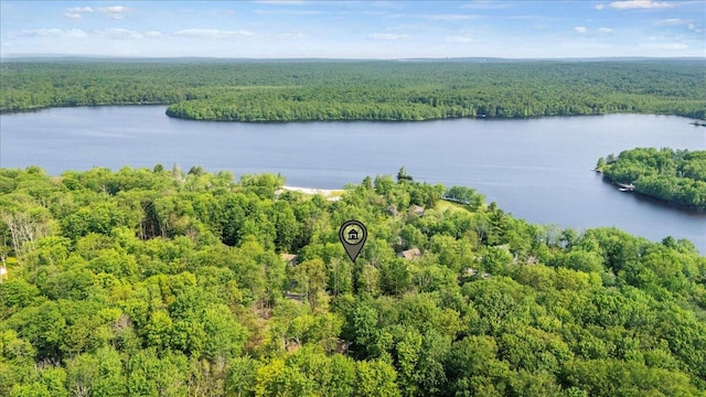 1125 Rhododendron Ln, Pocono Summit, PA 18346 - bird's eye view of a heavily wooded area and a nearby body of water