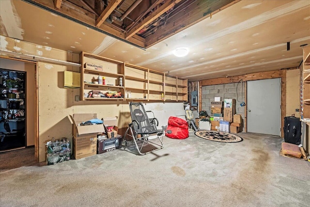 1125 Rhododendron Ln, Pocono Summit, PA 18346 - garage featuring electric panel and concrete block wall