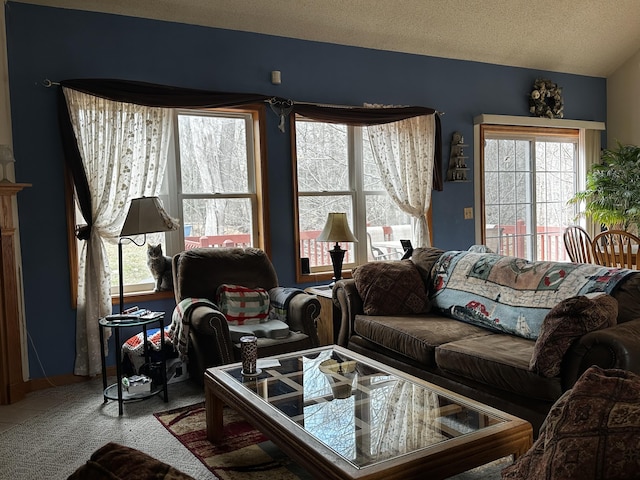 carpeted living room featuring a wealth of natural light and a textured ceiling