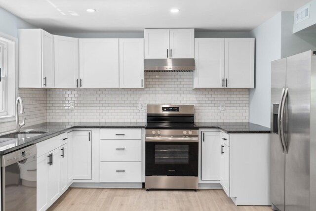410 Sunset Forest Dr, Hawley, PA 18428 - kitchen with stainless steel appliances, under cabinet range hood, a sink, dark stone countertops, and light wood-type flooring