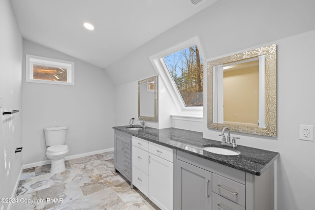 bathroom featuring a wealth of natural light, vaulted ceiling, and a sink