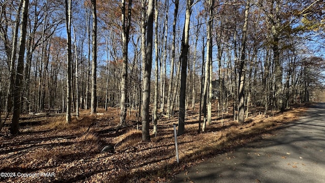 706 Fawn Rd, Pocono Lake, PA 18347