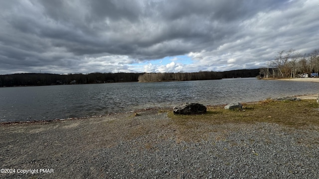706 Fawn Rd, Pocono Lake, PA 18347