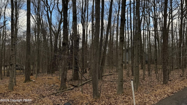 706 Fawn Rd, Pocono Lake, PA 18347