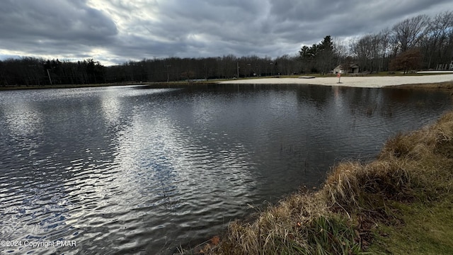 706 Fawn Rd, Pocono Lake, PA 18347