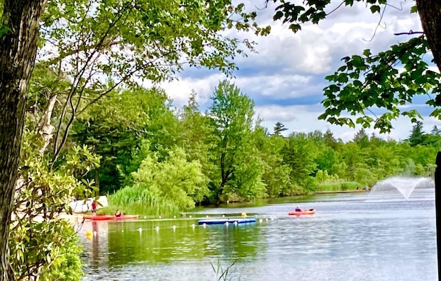 water view featuring a forest