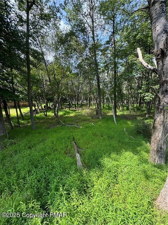 Lakeview Dr, Albrightsville, PA 18210 - photo 4