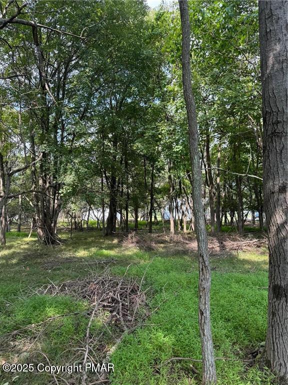 Lakeview Dr, Albrightsville, PA 18210 - photo 5