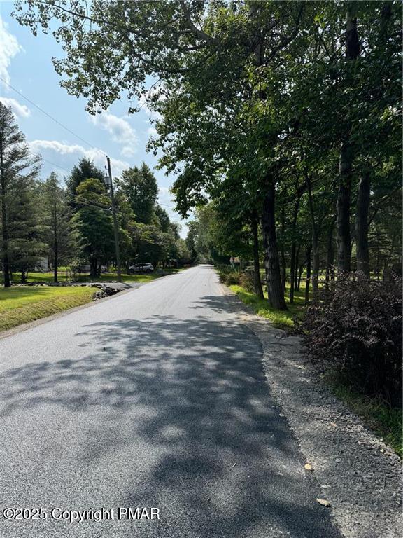 Lakeview Dr, Albrightsville, PA 18210 - photo 6