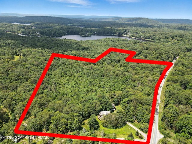 5715 Rte 447, Canadensis, PA 18325 - photo 2