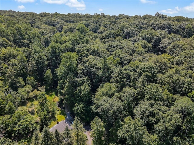 6680 Haasadahl Rd, Allentown, PA 18106 - photo 41