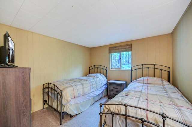 173 Pontiac Path, Pocono Lake, PA 18347 - bedroom with carpet floors
