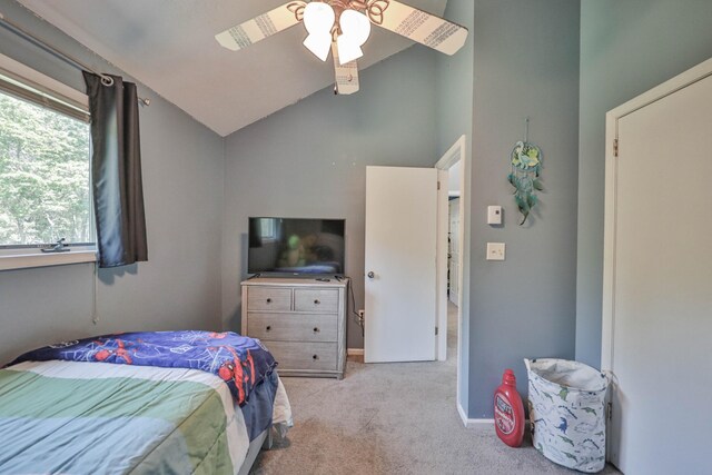 179 Chippewa Trl, Albrightsville, PA 18210 - photo 33