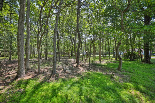179 Chippewa Trl, Albrightsville, PA 18210 - photo 53