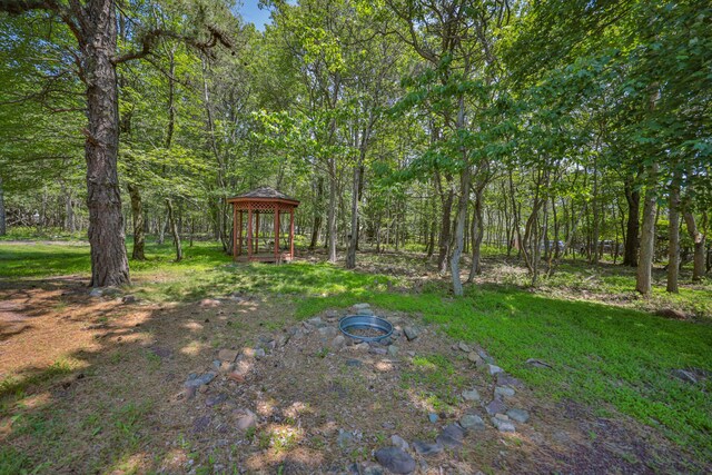179 Chippewa Trl, Albrightsville, PA 18210 - photo 54