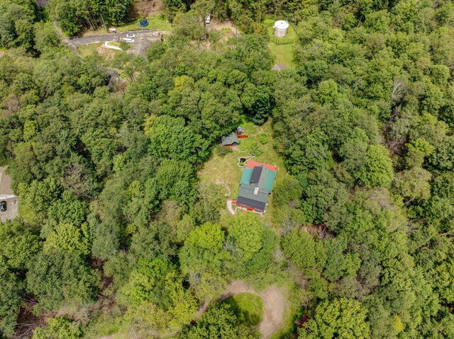 45 Evergreen Dr, Gouldsboro, PA 18424 - photo 58