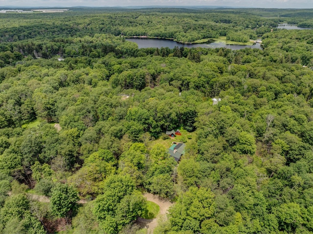 45 Evergreen Dr, Gouldsboro, PA 18424 - photo 62