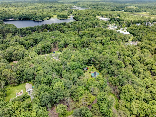 45 Evergreen Dr, Gouldsboro, PA 18424 - photo 64