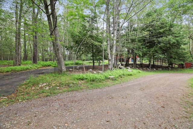 45 Evergreen Dr, Gouldsboro, PA 18424 - photo 60