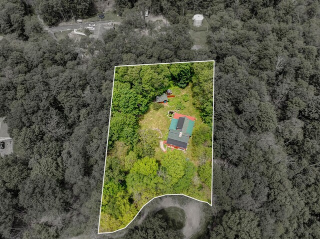 45 Evergreen Dr, Gouldsboro, PA 18424 - photo 7