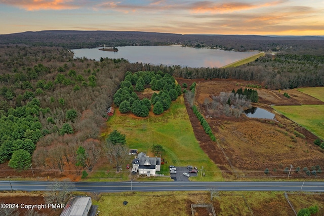 aerial view at dusk featuring a water view and a wooded view