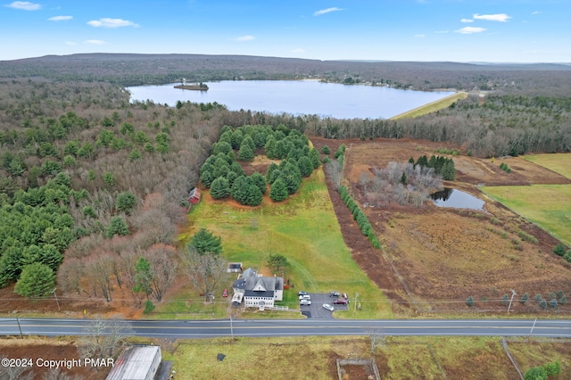 bird's eye view with a wooded view and a water view