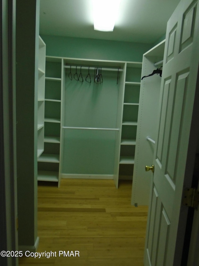 walk in closet featuring wood finished floors