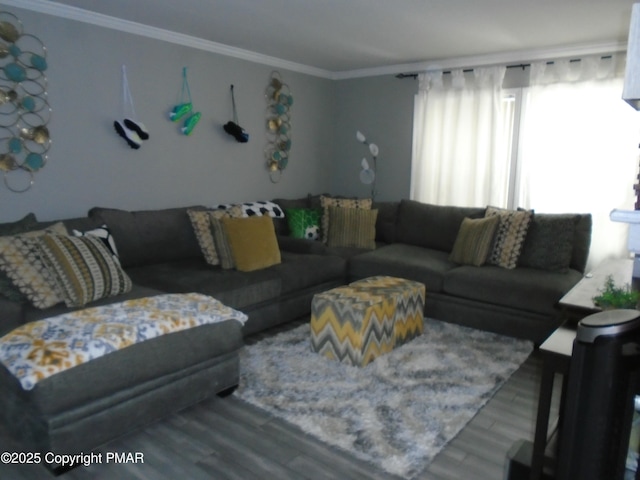 living area featuring crown molding and wood finished floors