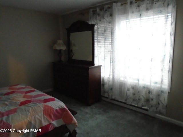 carpeted bedroom with multiple windows