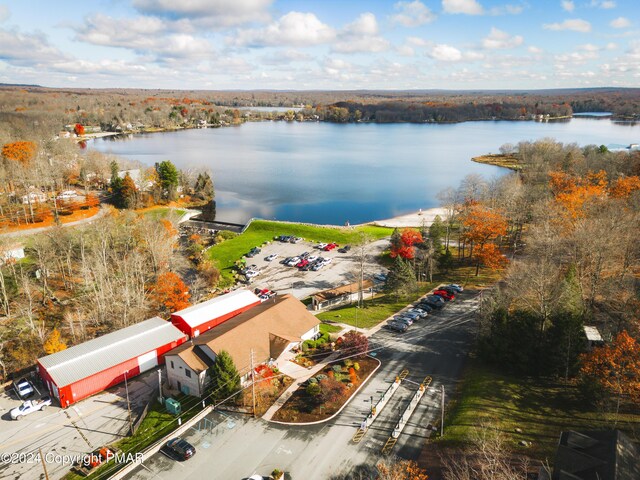 256 Owassa Dr, Pocono Lake, PA 18347