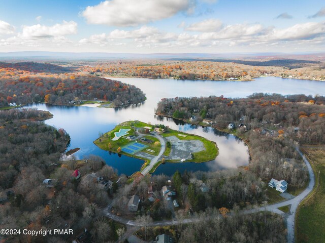 256 Owassa Dr, Pocono Lake, PA 18347