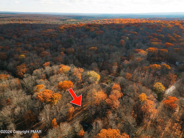 256 Owassa Dr, Pocono Lake, PA 18347