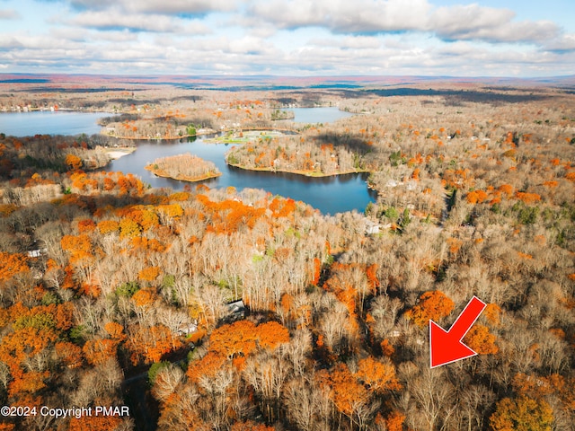 256 Owassa Dr, Pocono Lake, PA 18347